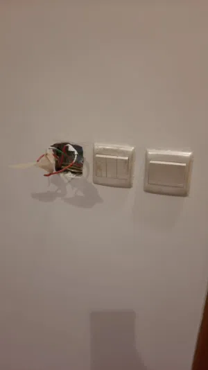 شغل الكهربائية
