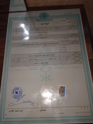 يوجد في 40 كعب زيتون على مفرق جدايل الاستثمار30 75 رقم العقارة45