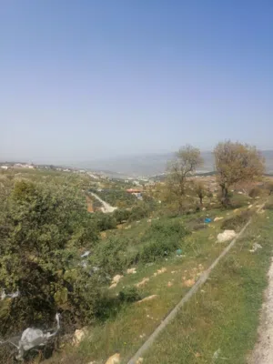 Farm Land for Sale in Jerash Al-Mastaba