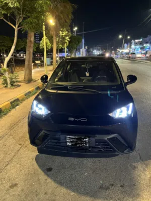 Used BYD Seagull in Amman