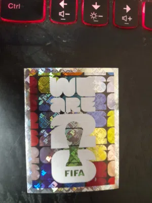 we are world cup panini card