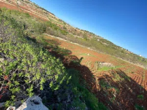 Mixed Use Land for Sale in Ajloun Other
