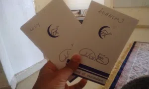 قط لي البيع أليف