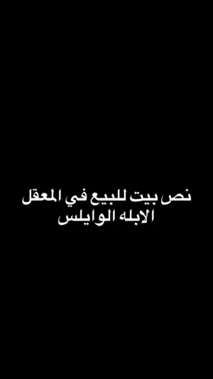 للبيت نص بيت منطقة المعقل الابله الوايلس