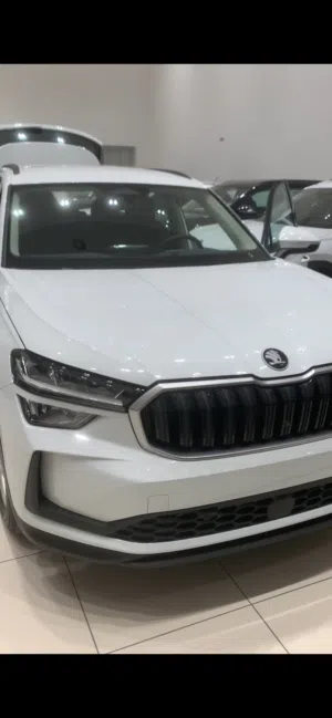 New Skoda Kodiaq in Sohag