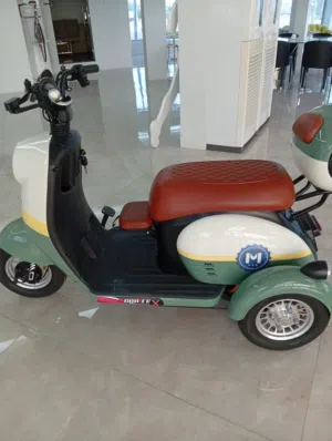 electric scooter new