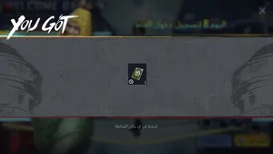 Pubg Accounts and Characters for Sale in Northern Governorate