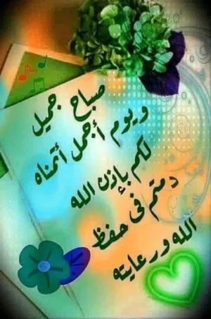 جارة غاز فاضيه