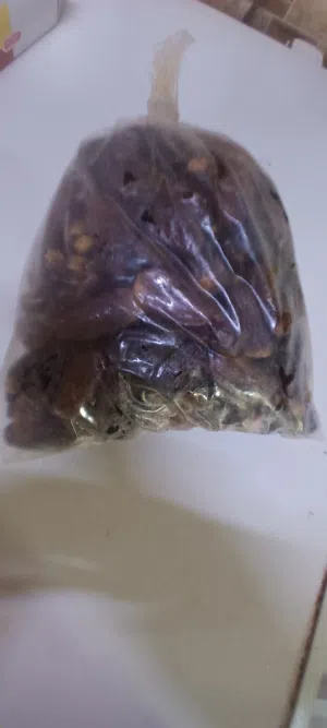 تمر نغال كل كيسه بوزنها ماتقل عن 1.5 كيلو