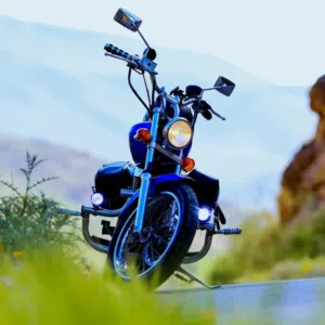 Suzuki . Boulevard S40 . 20163