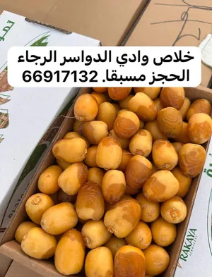 ‏تمور‏3