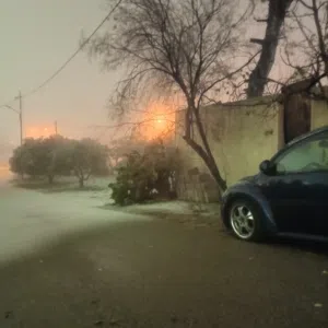 ابو سامي 