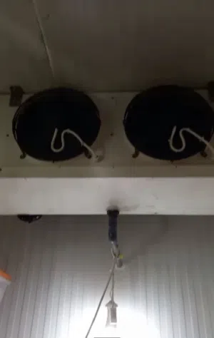 Walk in freezer.