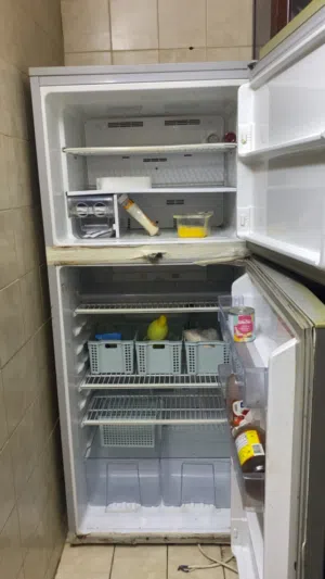 ثلاجة ب 250
