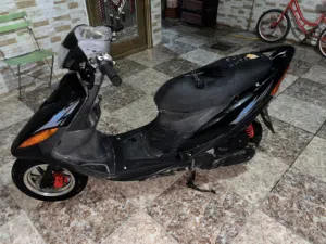 ماكس عدله