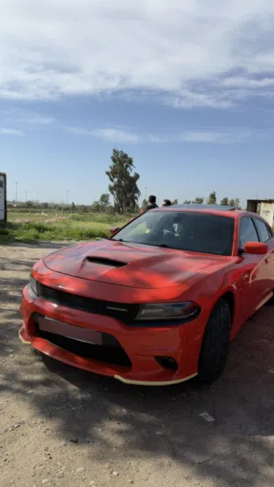 جارجر GT 2021 خليجي هارلم