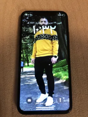 Iphone X 256G