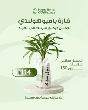هدايا نباتات العيد من موطن النباتات