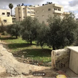 أرض للبيع دوحه دينمو لاين