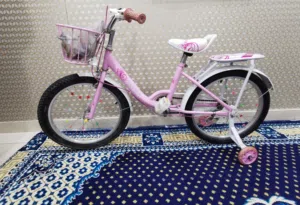 I have cycle size 20 parts in cheap price