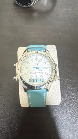 Citizen watch