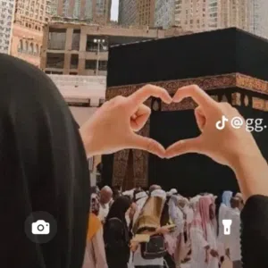 علوش 