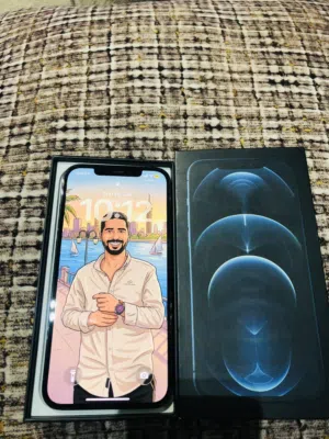 iPhone 12 Pro Max 256g