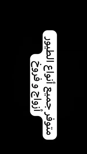 ‏ببغاء‏4