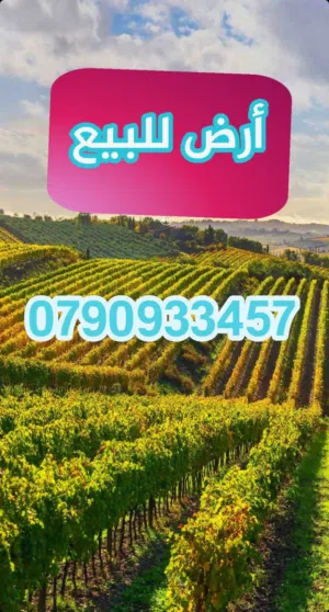 residential-land-for-sale-in-amman-arjan