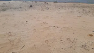 Commercial Land for Sale in Tripoli Tajura