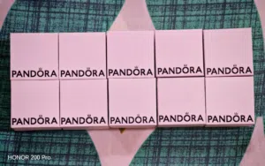 Premium Gift-Ready Pandora jewellery Boxes – Bundle of 10