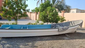 قارب ياباني