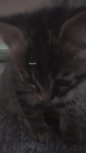 يلي حاب يجي يوخذ البس و افبلاش