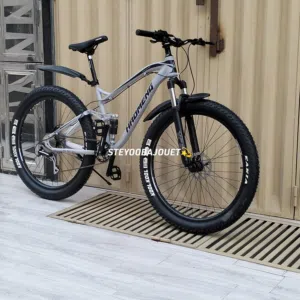 VÉLO ENDURO XC800 ALUMINIUM HAOMENG 29 Pouce Meilleur Qualité Double Suspension. Frein disqu