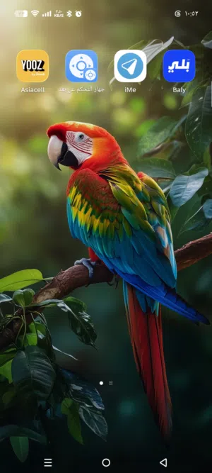 amar 