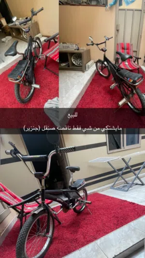 سيكل رامبو لا يشكي من شي فقط يحتاجله جنزير