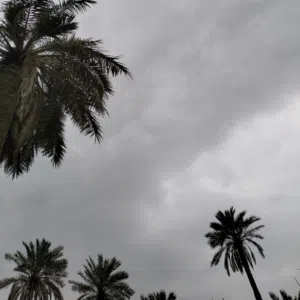 محمد الجواد حسين 