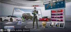 Pubg Mobile Account  حساب ببجي قديم اسطوري لفل 78 مشحون اكثر من 10 سيزونات 18 سلاح مطور وامفور ثلجي