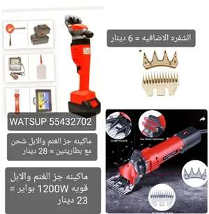 ‏غنم‏4