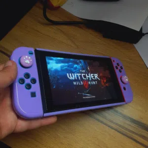 نينتيندو سويتش العادي مهكر نضامين