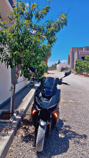موطو الوكيل المنقوش 175cc