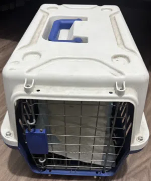 قفص حجم وسط