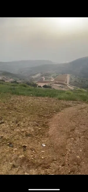 Farm Land for Sale in Salt Other