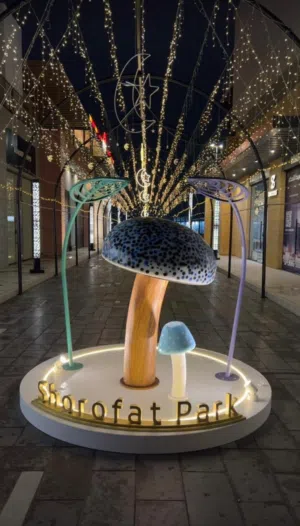 تنفيذ كافة أنواع المجسمات ( Maquettea )