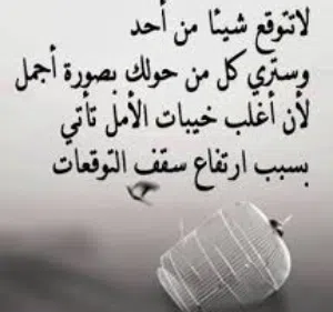 alamer
