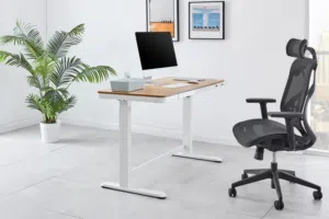 طاولة متحركه كهربائيه Ergolux Sorrento Electric Standing Desk with Drawer طاولة العاب ودراسه لابتوب.