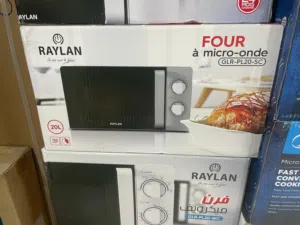 microonde RAYLAN 20L