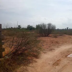 يوجد آرض في تاجوراء للنشيع بئر تركي مساحة 200مترو ابعد علي الطريق أقل من كيلوا نقبل حته افاري بي س