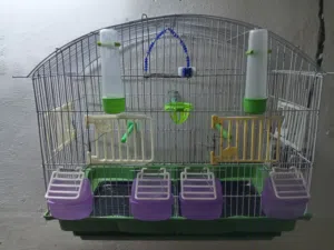 قفص 4 معالف و قفص معلفتين و أغراضهم وقافات وبياضه. واستاند صغير ومائكل ذكيه وعش فخار