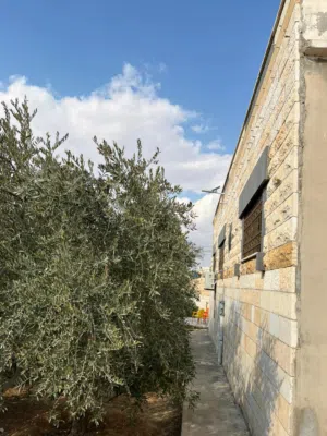 220 m2 5 Bedrooms Townhouse for Sale in Zarqa Al Sukhneh